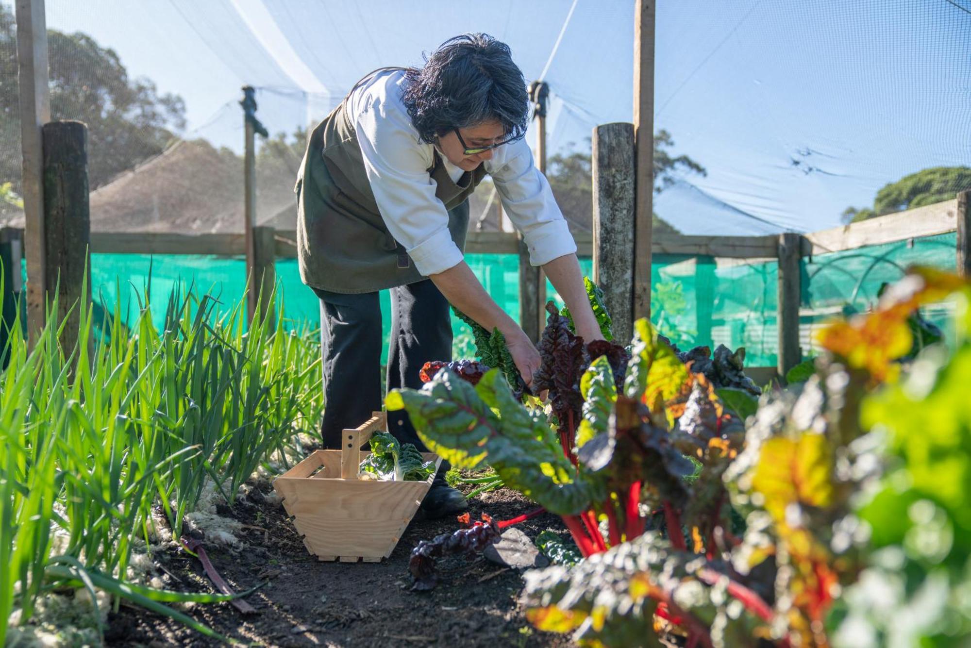 فيلا Wharekauhau Country Estate Wairarapa المظهر الخارجي الصورة