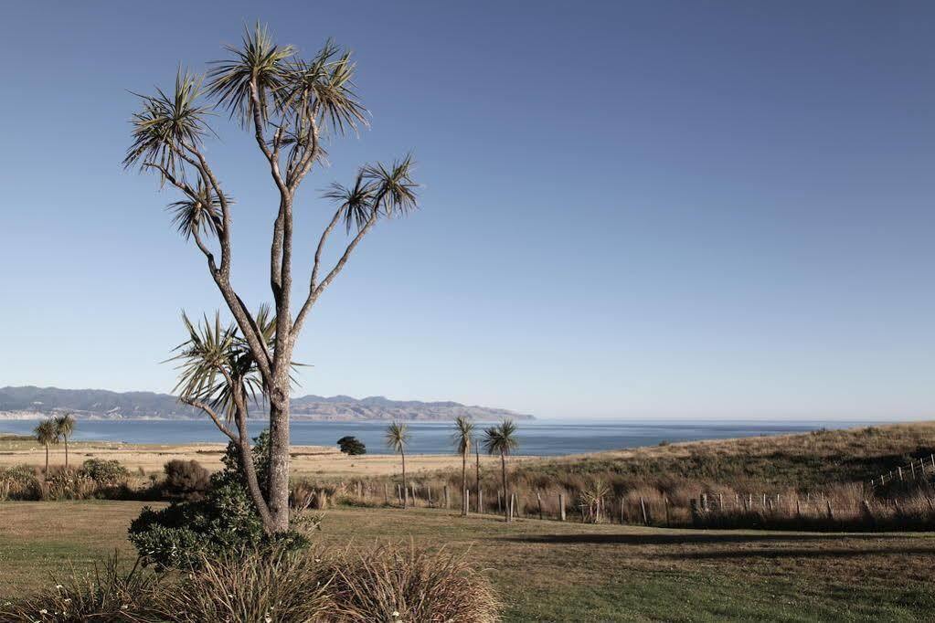 فيلا Wharekauhau Country Estate Wairarapa المظهر الخارجي الصورة